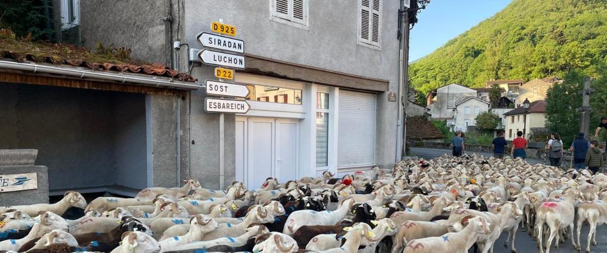 Petit Village Authentique Mauléon-Barousse Kültér fotó